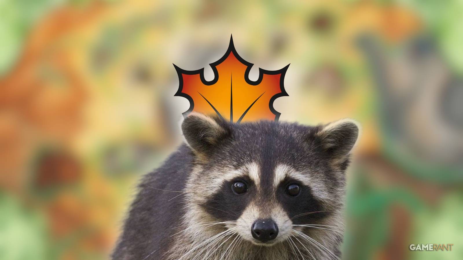Magic Raccon Yes, a Raccoon Really Can Take Over Magic: The Gathering