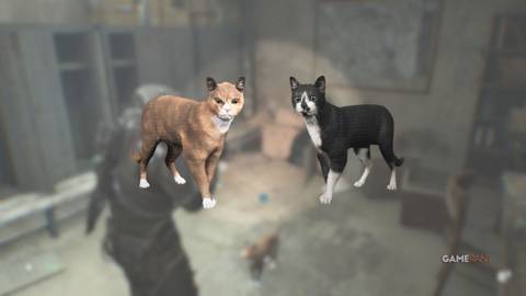 Cats Locations in Cronos The New Dawn Featured Image