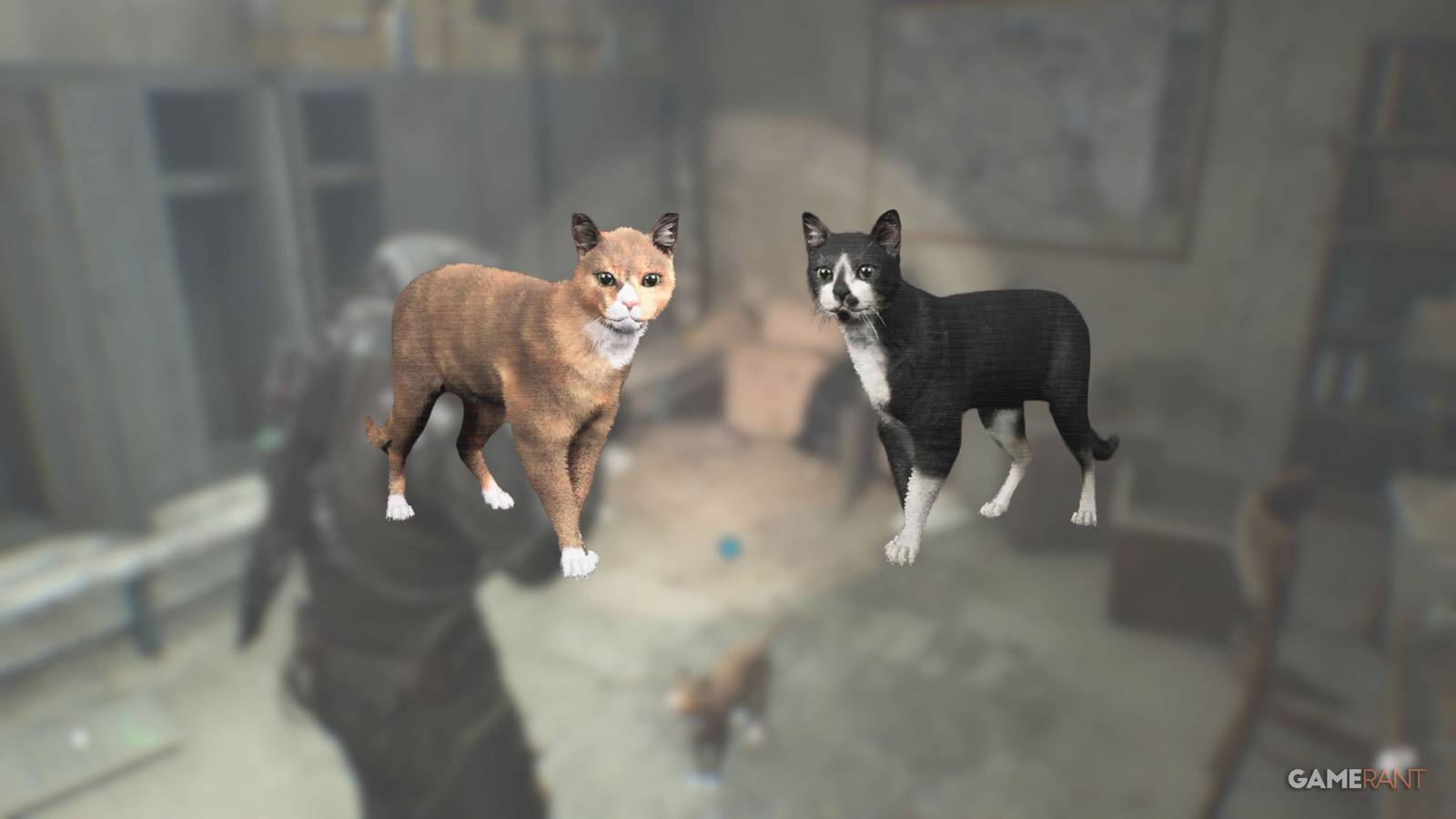 Cats Locations in Cronos The New Dawn Featured Image