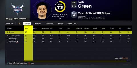 NBA 2K26 - Charlotte Hornets - Small Forwards