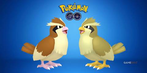 Pidgey and Shiny Pidgey in Pokemon GO