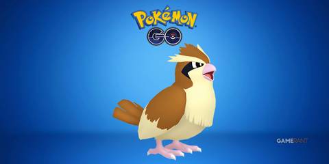 Pidgey in Pokemon GO