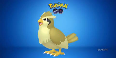 Shiny Pidgey in Pokemon GO