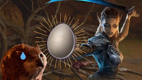 The Best Way to Handle the Owlbear Egg Baldur's Gate 3
