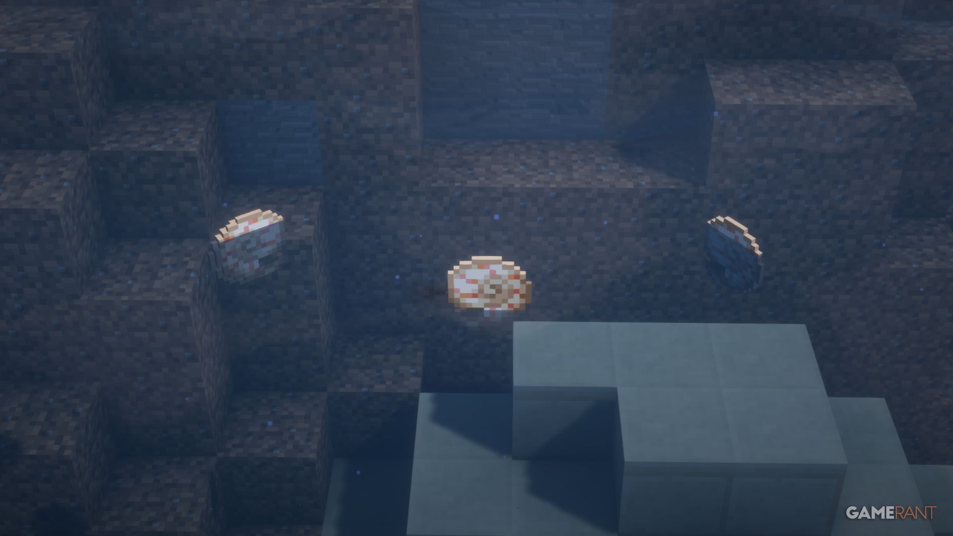 Rarest Items In Minecraft (& How To Get Them)