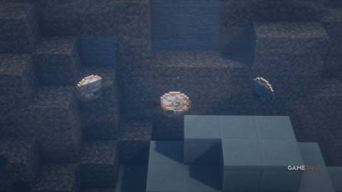 Minecraft Nautilus Shells