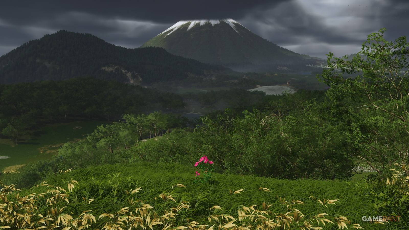 ghost-of-yotei-flower-farming-featured