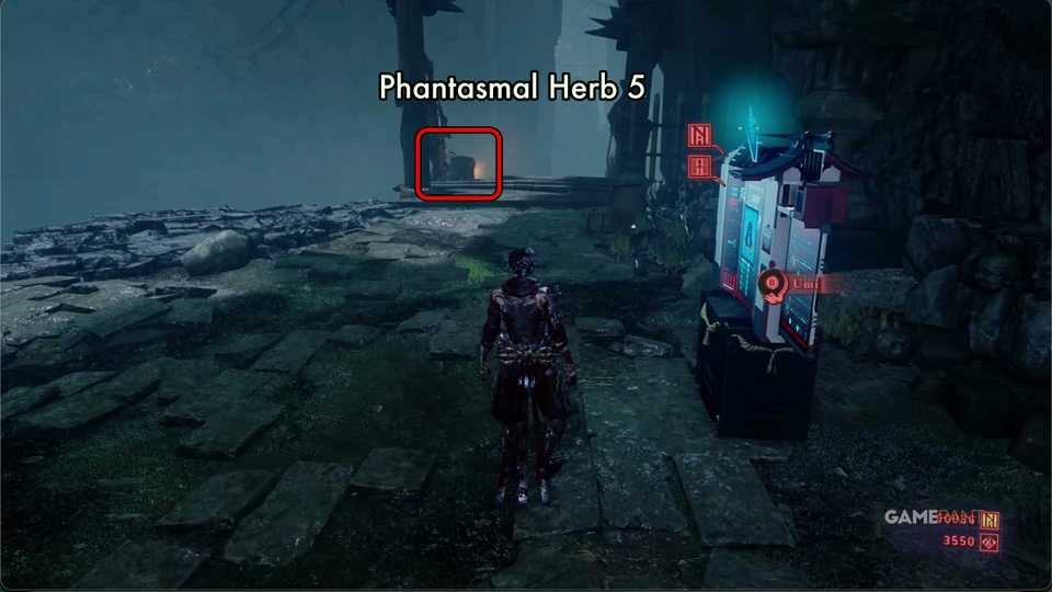 NG4-Phantasmal-Herb-5