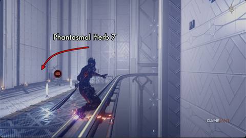 NG4-Phantasmlal-Herb-7