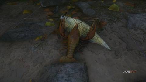 Kingdom Come Deliverance 2 - Our Daily Bread Guide - Crayfish & Book