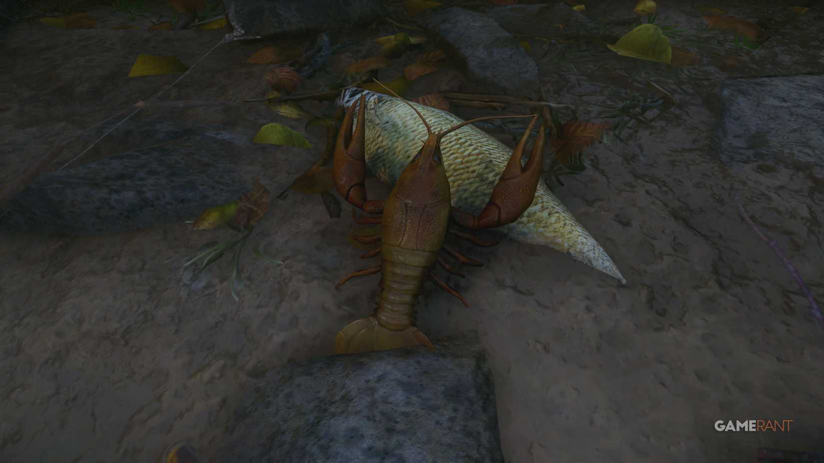 Kingdom Come Deliverance 2 - Our Daily Bread Guide - Crayfish & Book