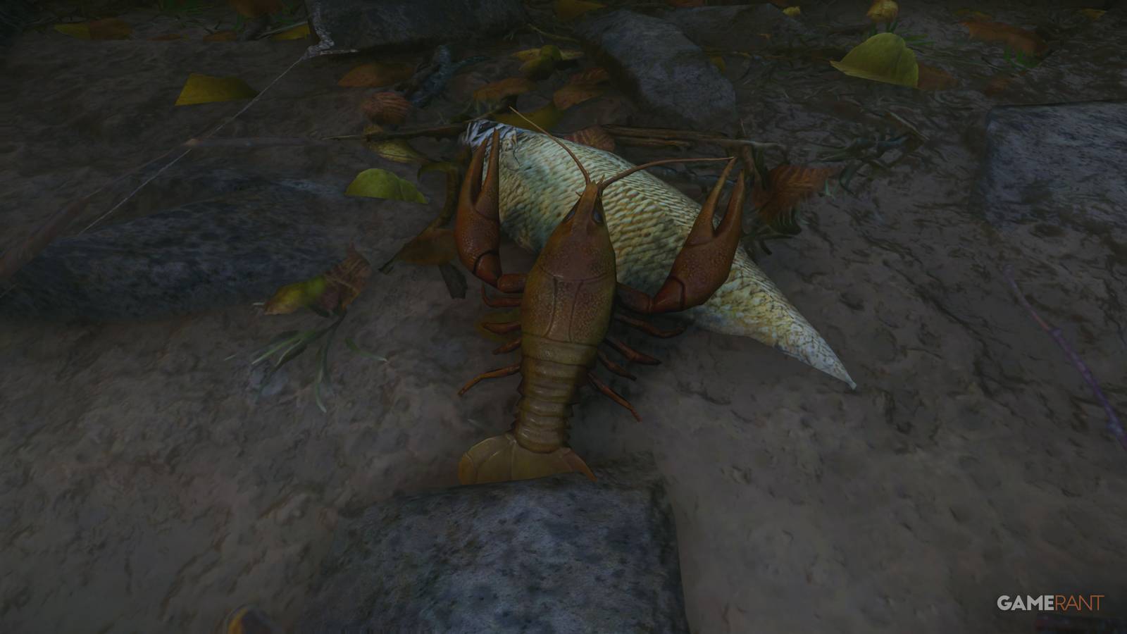 Kingdom Come Deliverance 2 - Our Daily Bread Guide - Crayfish & Book