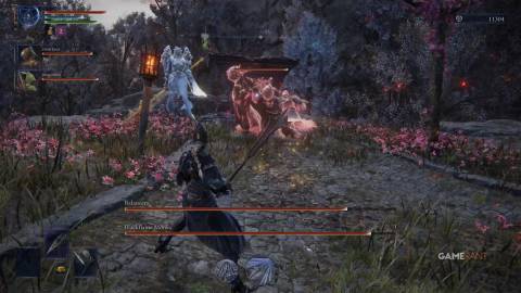 All DLC Raids in Elden Ring Nightreign 12