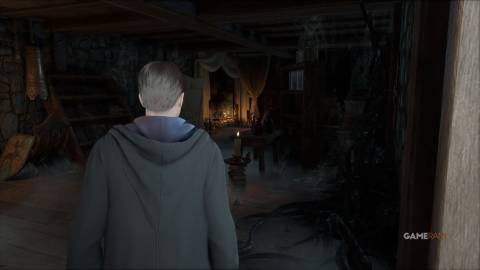 Hogwarts Legacy - Isadora's House Cellar