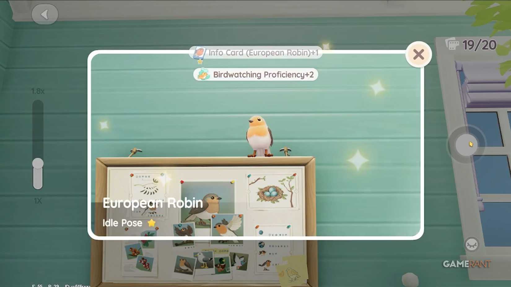 bird watching european robin heartopia