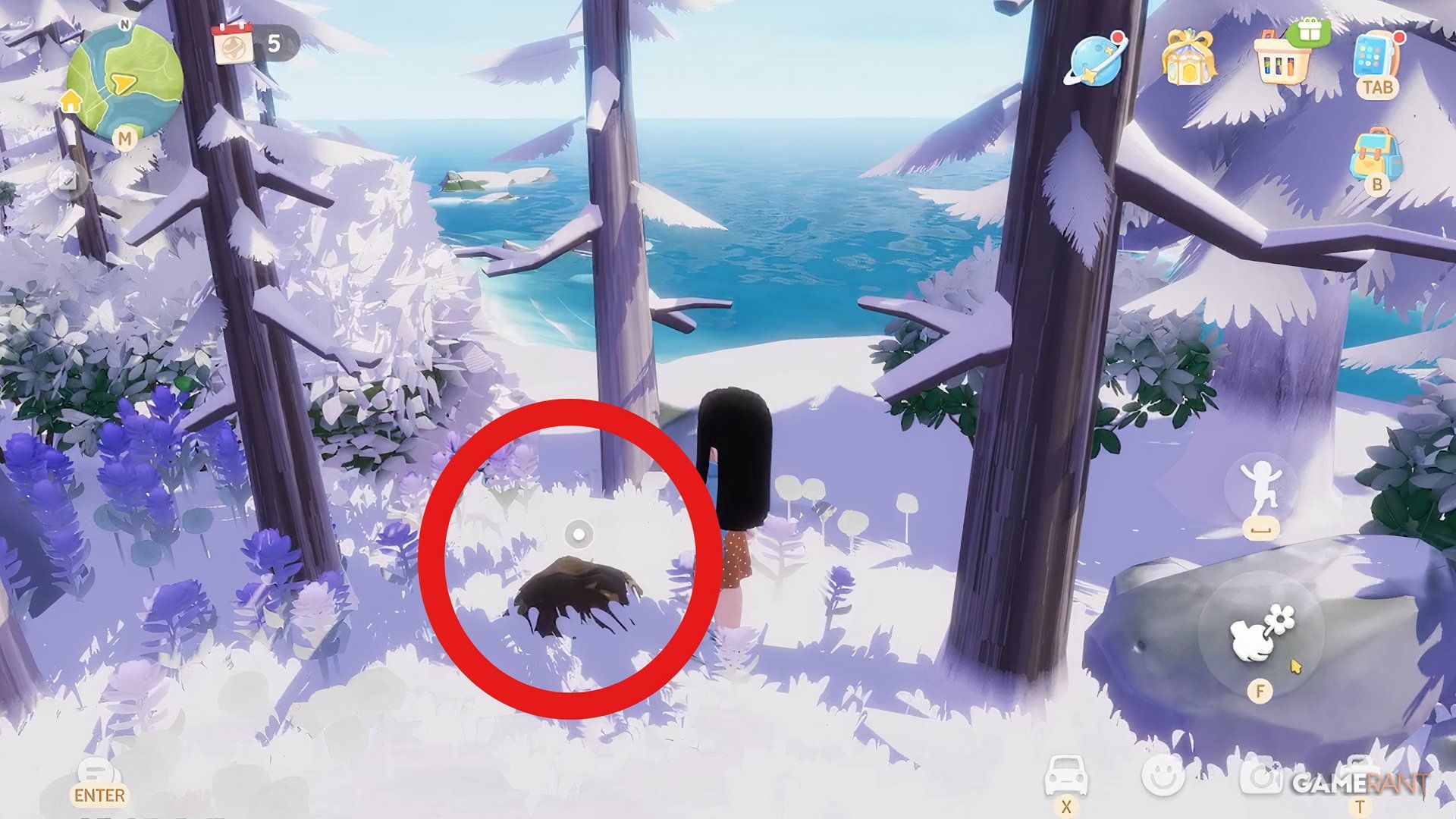 Black Truffle Location in Heartopia