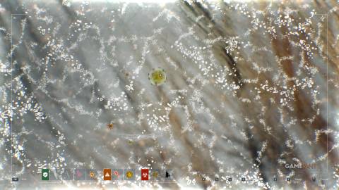 Quarantine Zone The Last Check - Matioscope - Corneal Infiltrate 2