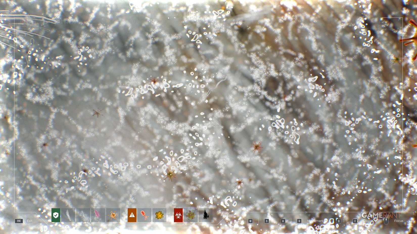 Quarantine Zone Last Check - Matioscope - Lots of symptoms