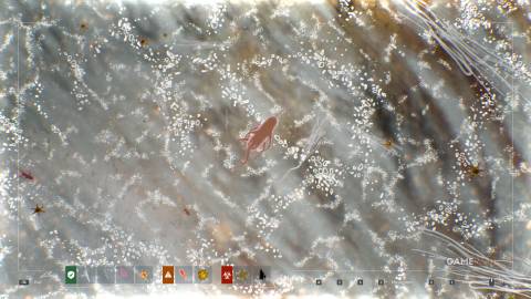 Quarantine Zone The Last Check - Matioscope - Ocular Spicular Bacterium 2