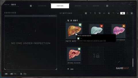 Quarantine Zone The Last Check - X-Ray - Fatty Hepatosis