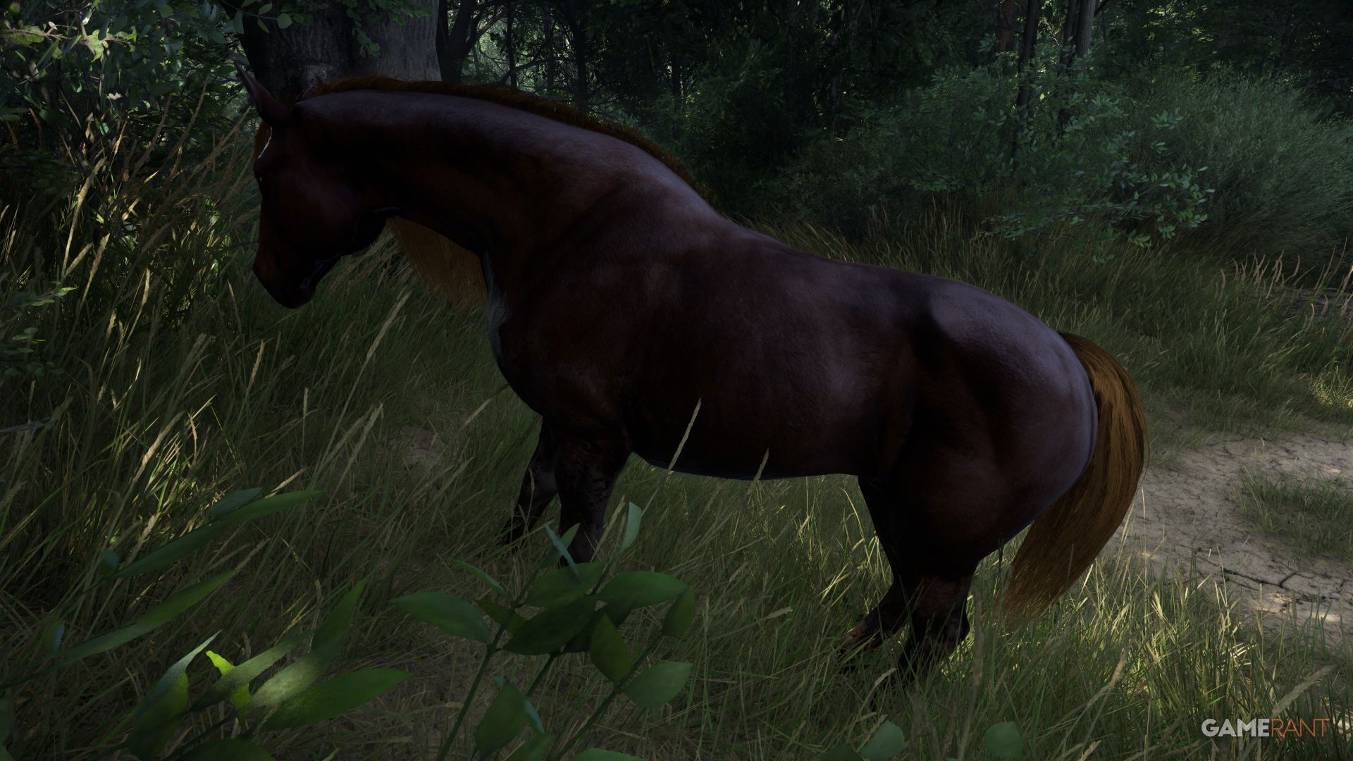 Kingdom Come Deliverance 2 - Meadow Horse