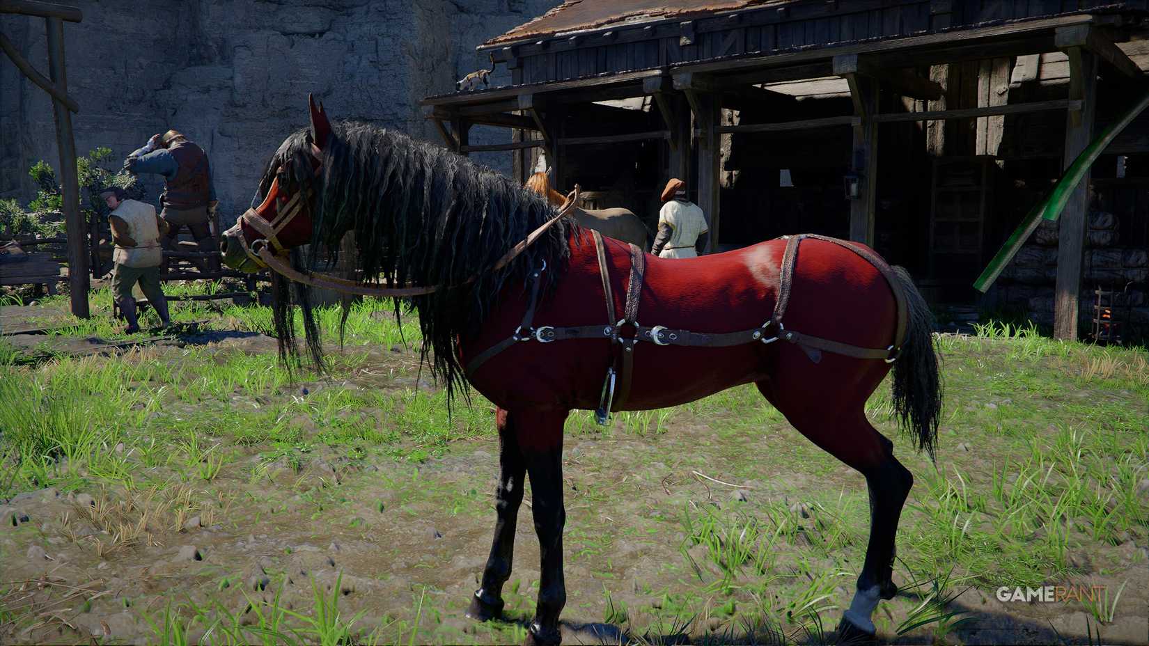 How to get Camora, the Legendary Red Horse in Crimson Desert (3)