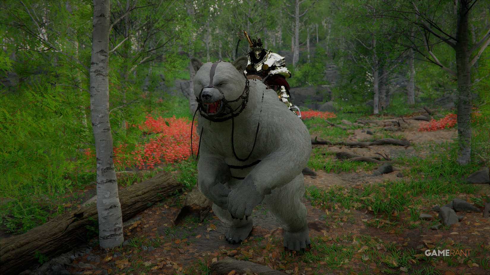 How to get White Bear Legendary Mount in Crimson Desert