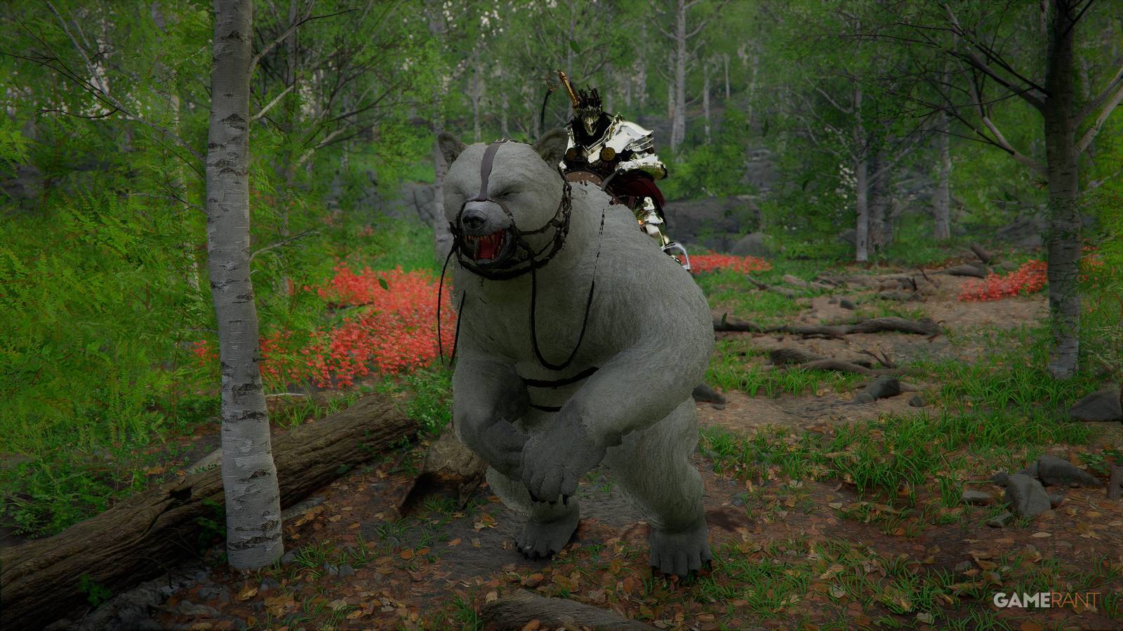 How to Get the White Bear Legendary Mount in the Crimson Desert