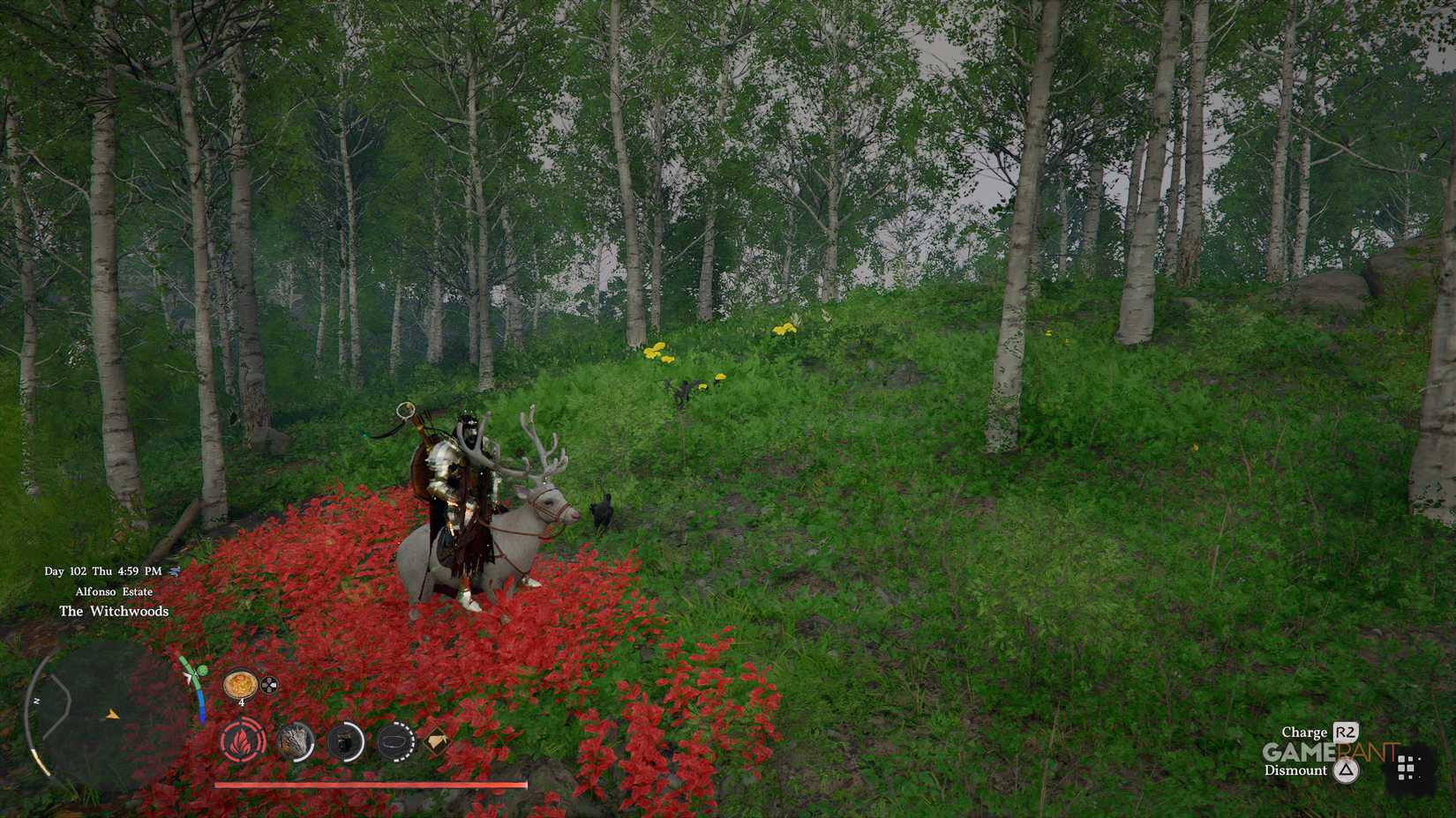 The legendary white deer