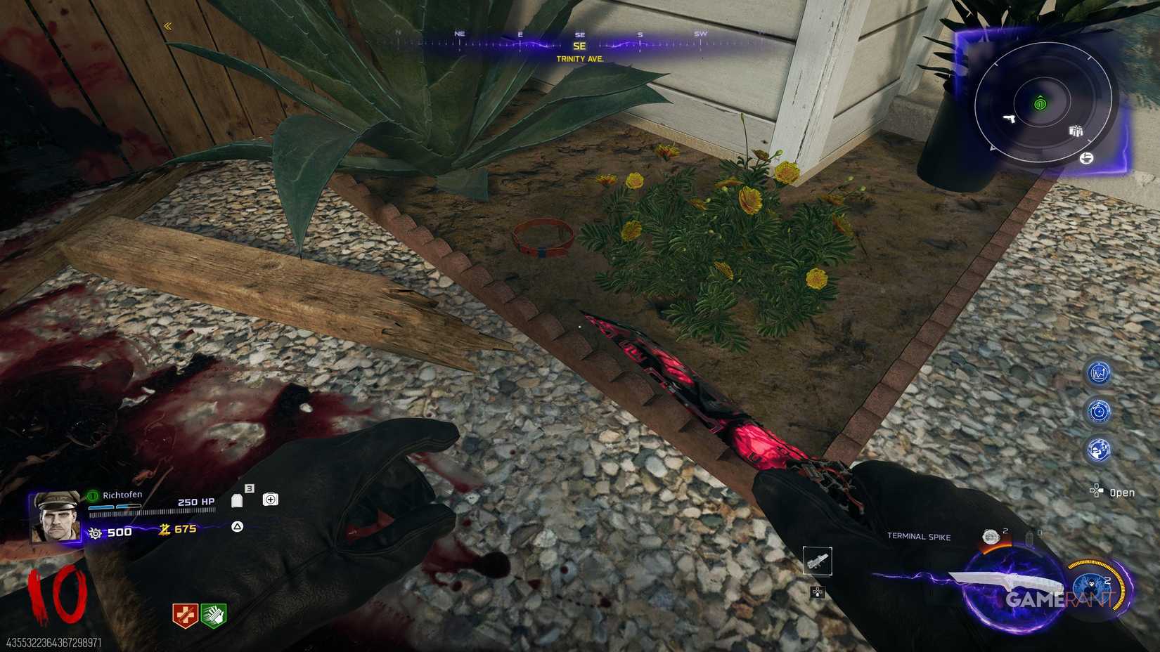 The Dog Collar Location