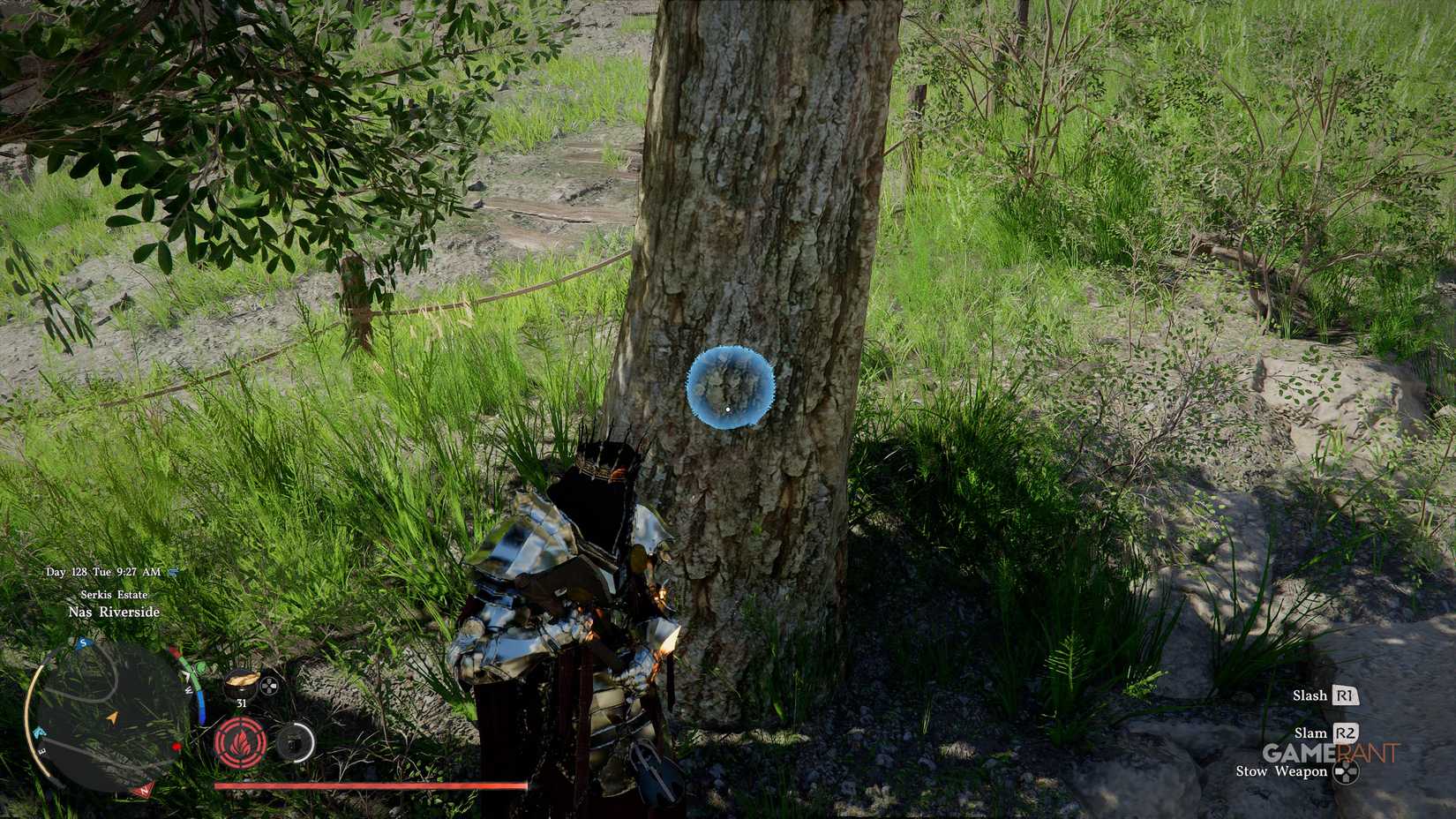 How to Get the Sturdy Tree Branch in Crimson Desert