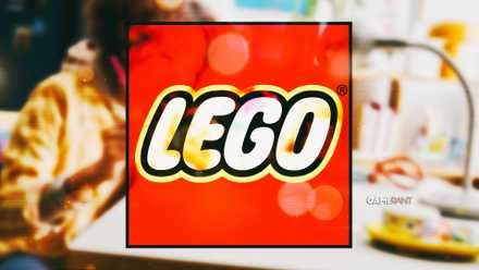 The LEGO logo is above a blurry lifestyle photo of someone assembling 11514 cosmos flowers on a table.