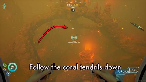 Sub2-Coll-Lev-Follow-Coral