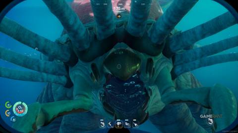 Sub2-Coll-Lev-Jaws