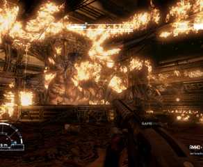 Aliens vs predator setting alien queen on fire