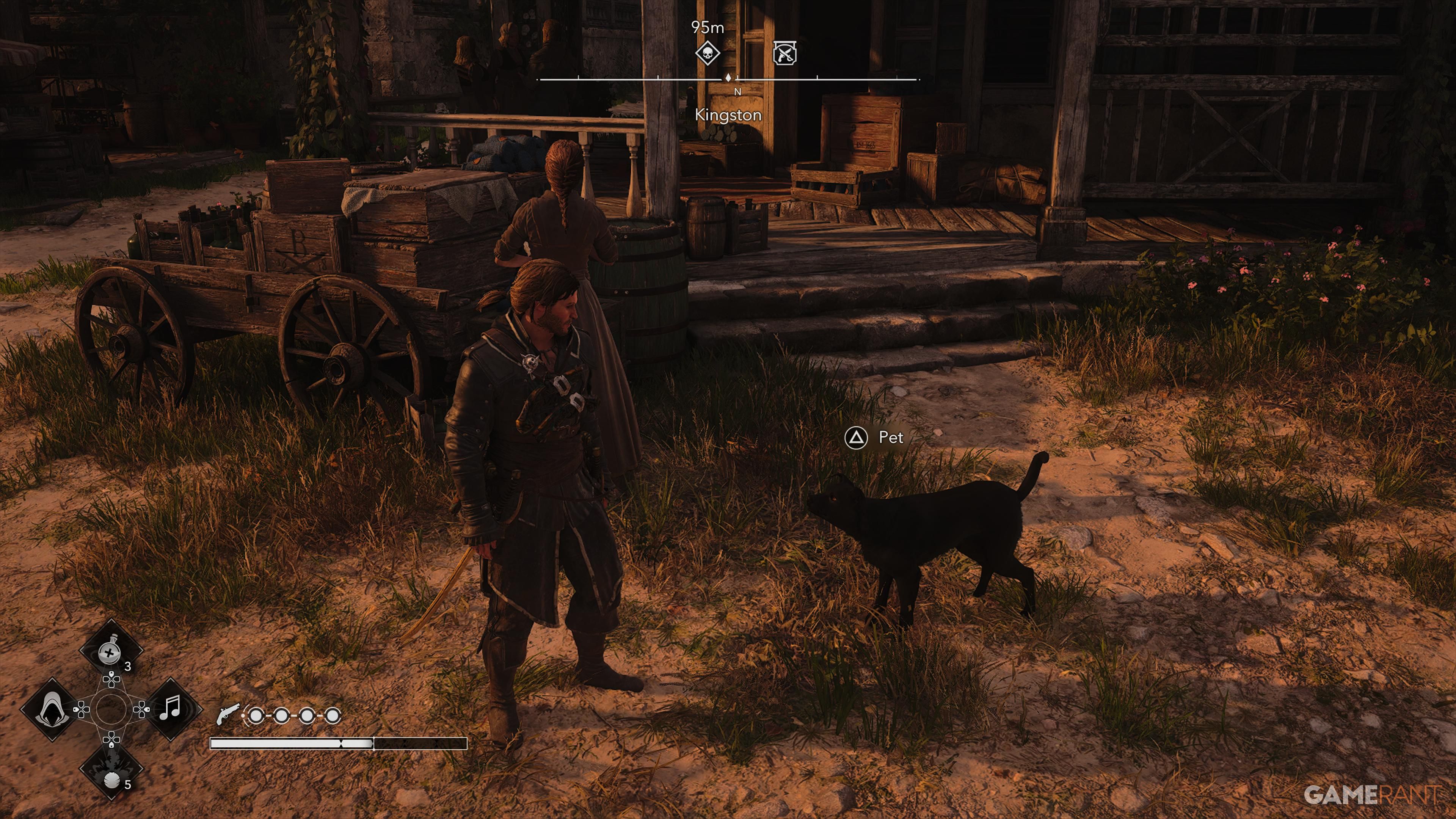All Friendly Animal Locations in AC Black Flag Resynced 11