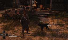 All Friendly Animal Locations in AC Black Flag Resynced 11