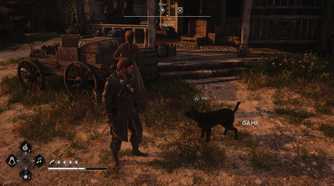 All Friendly Animal Locations in AC Black Flag Resynced 11