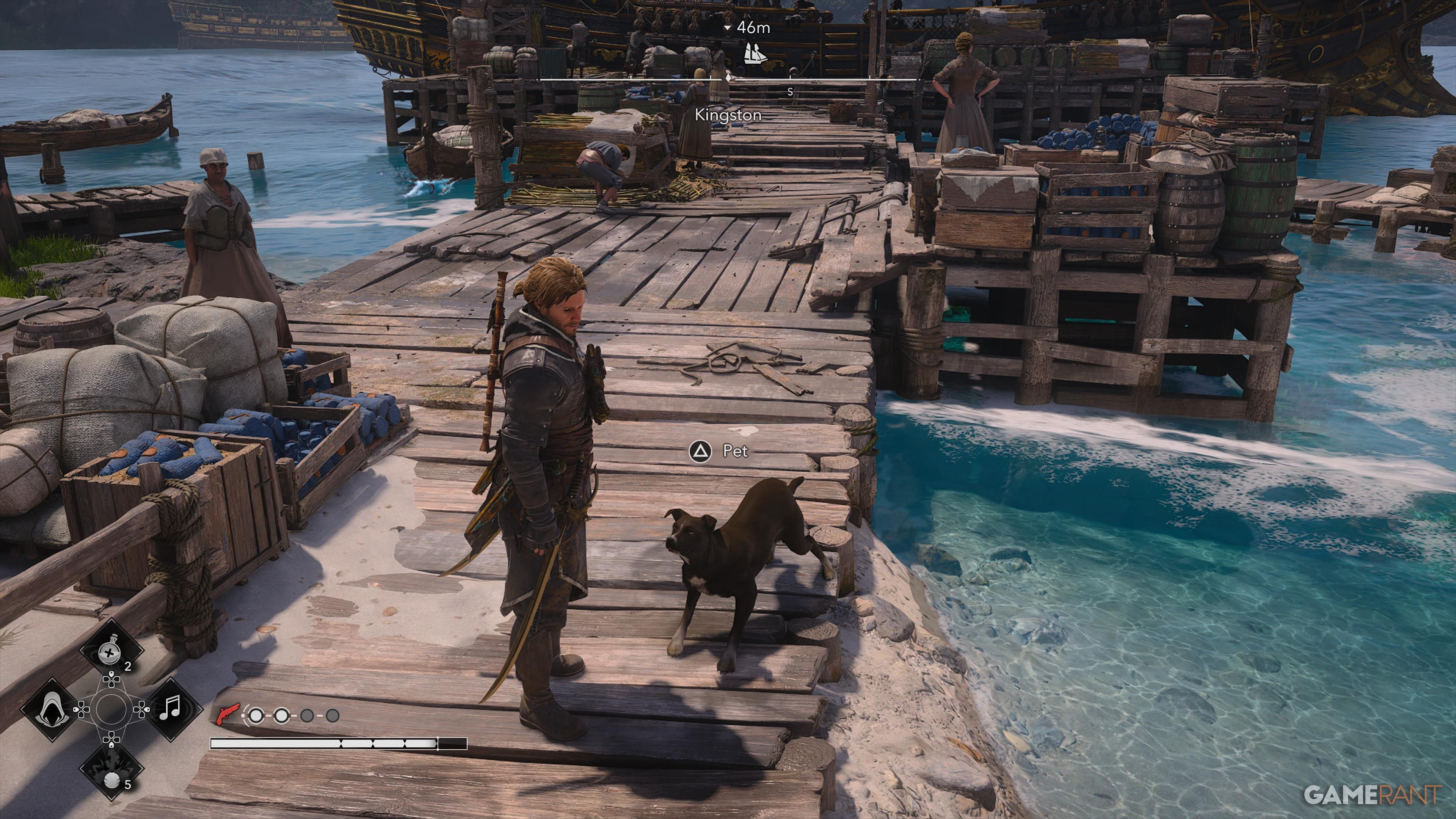 All Friendly Animal Locations in AC Black Flag Resynced 13