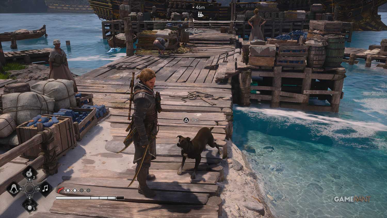 All Friendly Animal Locations in AC Black Flag Resynced 13