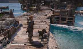 All Friendly Animal Locations in AC Black Flag Resynced 13