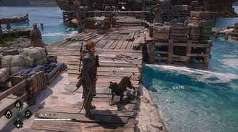 All Friendly Animal Locations in AC Black Flag Resynced 13