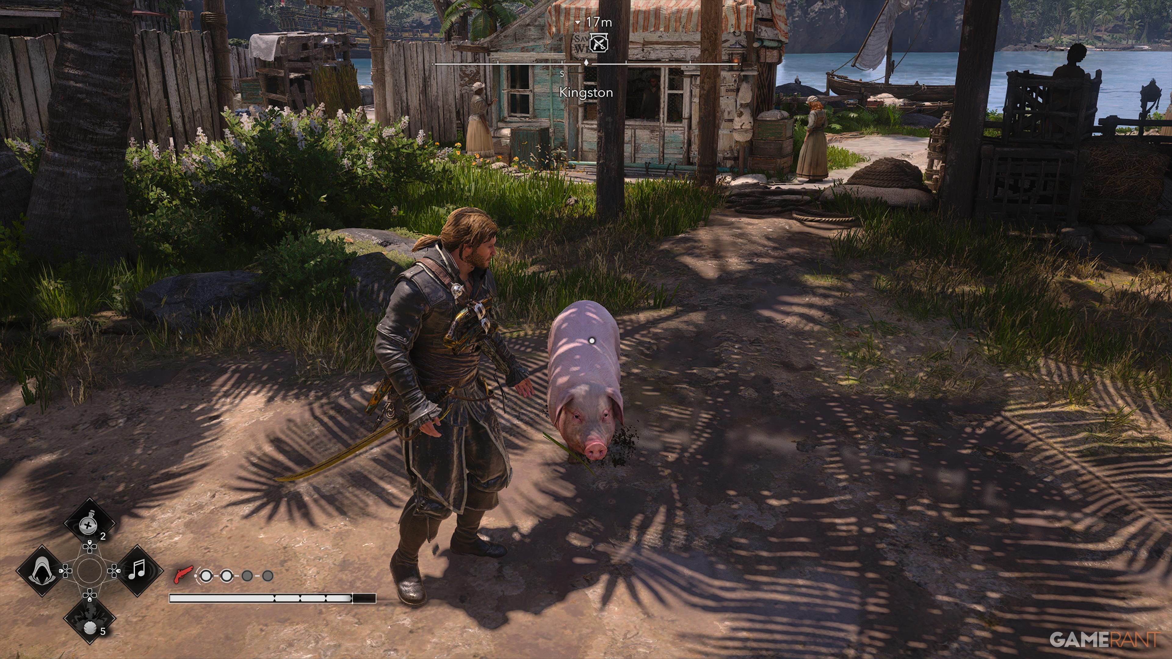 All Friendly Animal Locations in AC Black Flag Resynced 17