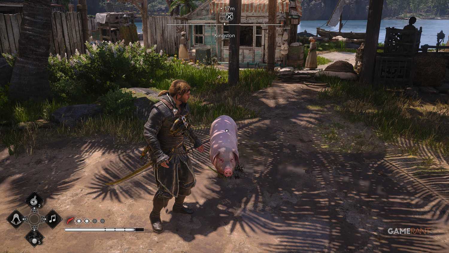 All Friendly Animal Locations in AC Black Flag Resynced 17