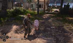 All Friendly Animal Locations in AC Black Flag Resynced 17