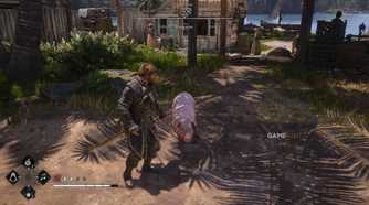 All Friendly Animal Locations in AC Black Flag Resynced 17