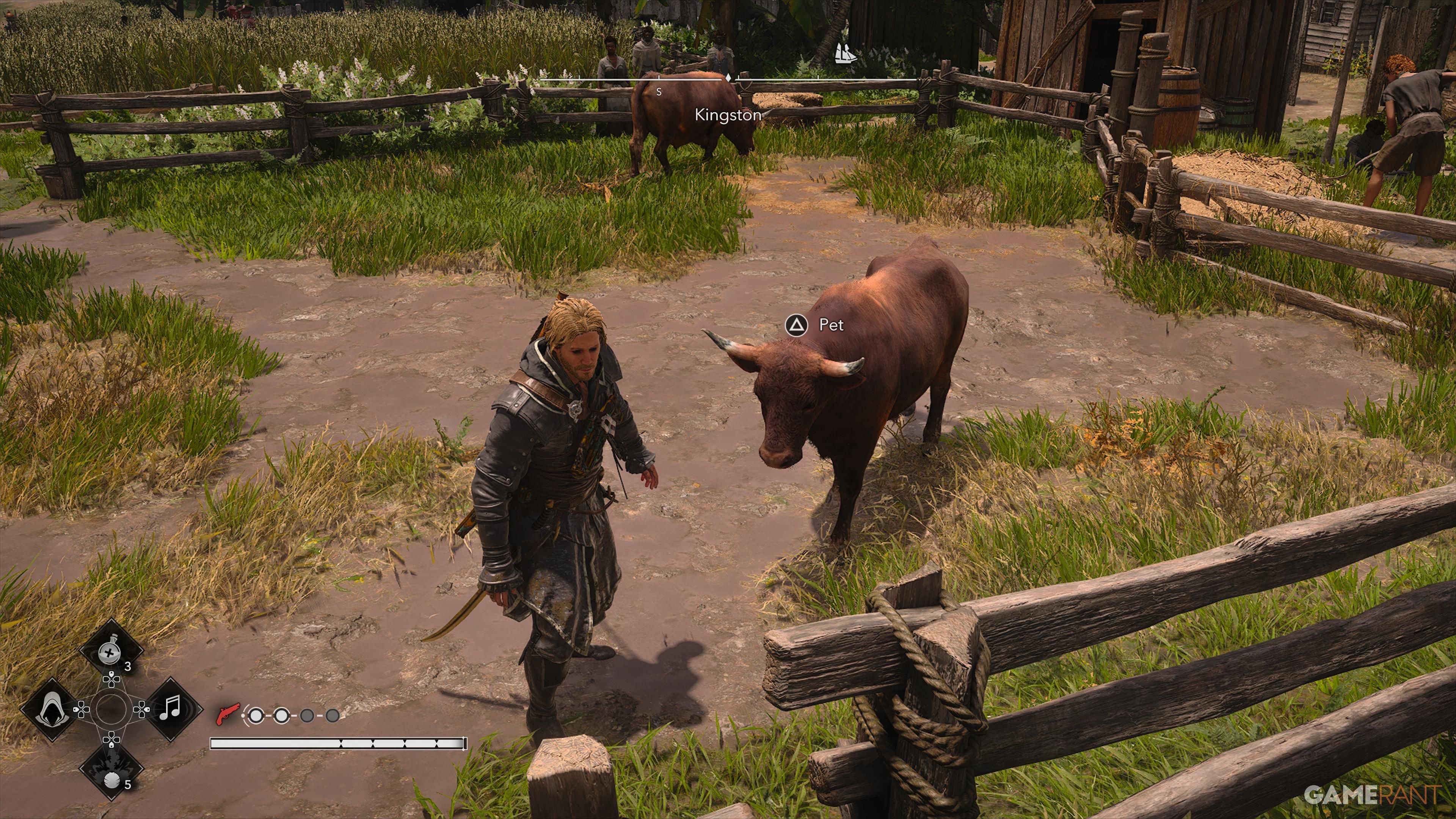 All Friendly Animal Locations in AC Black Flag Resynced 19