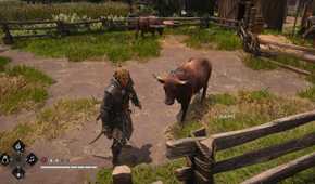All Friendly Animal Locations in AC Black Flag Resynced 19