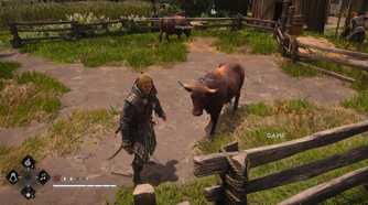 All Friendly Animal Locations in AC Black Flag Resynced 19