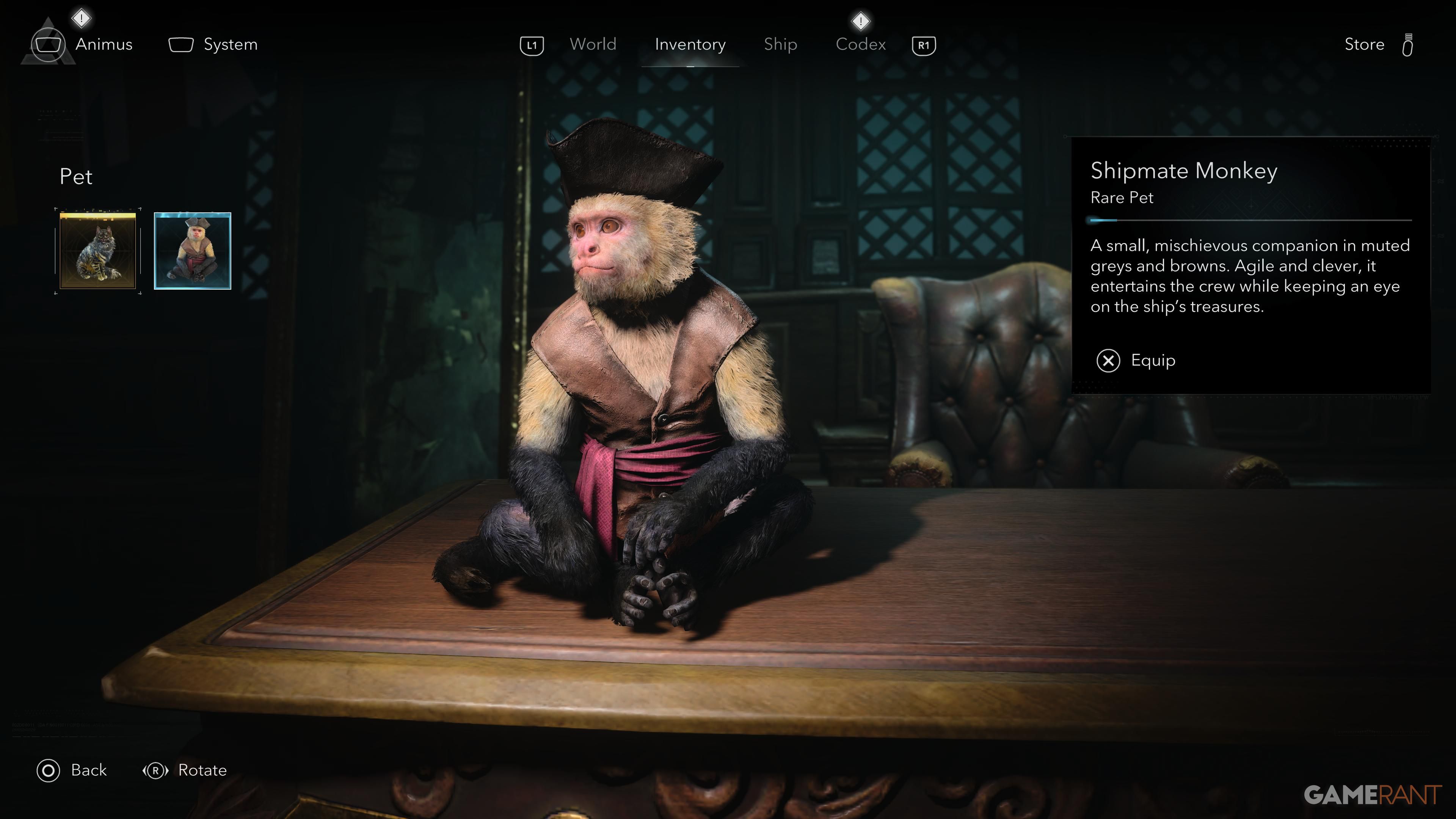 All Friendly Animal Locations in AC Black Flag Resynced 2